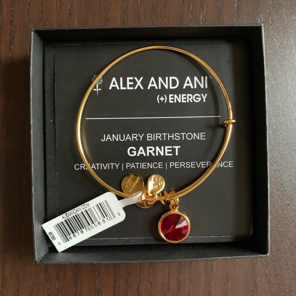 Alex and Ani January Birthstone Yellow Gold Bangle